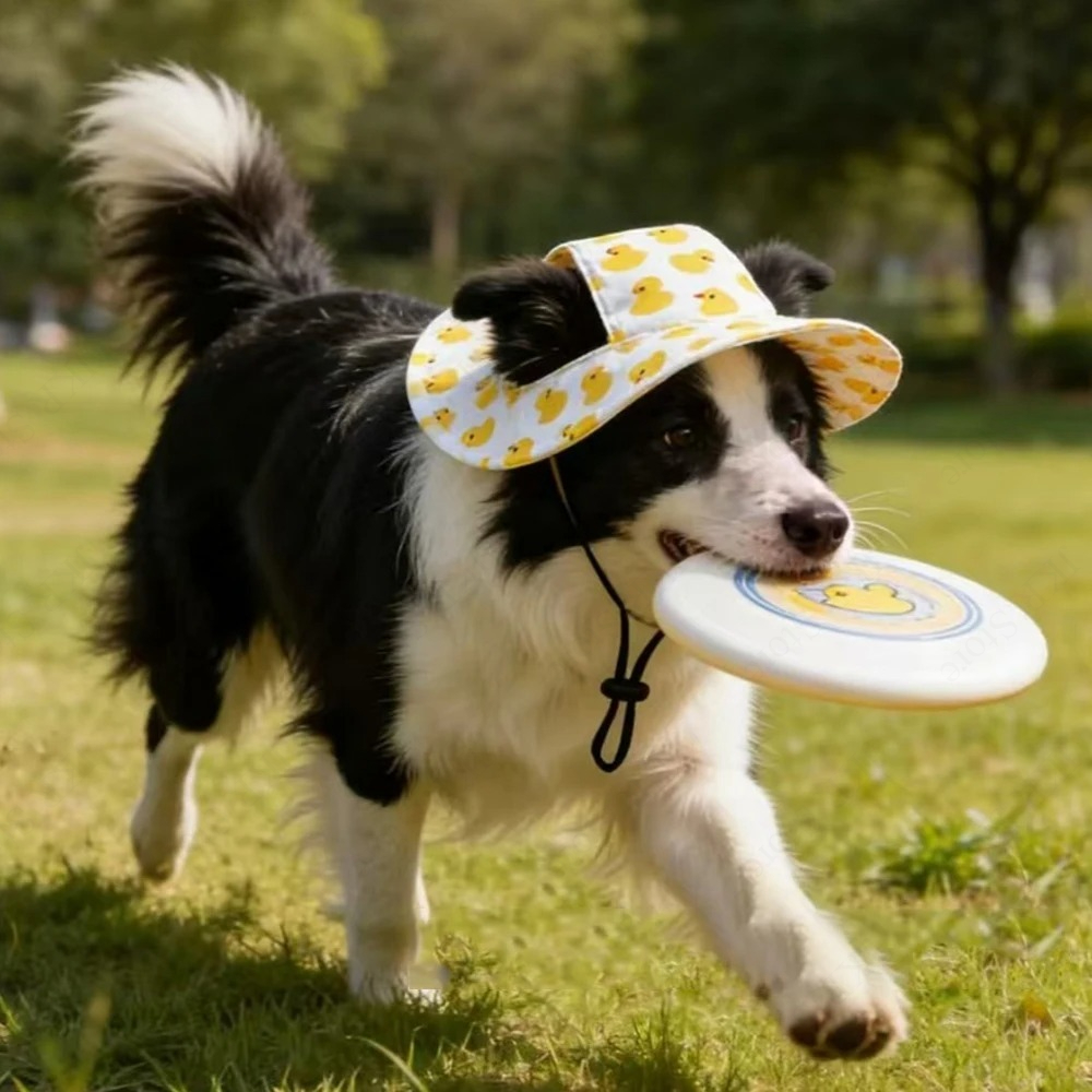 Printed Pet Dog Hat Adjustable - Running Cap Lightweight incelemesi ve fiyatı